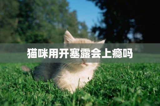 貓咪用開塞露會上癮嗎