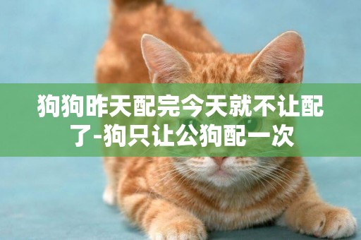 狗狗昨天配完今天就不讓配了-狗只讓公狗配一次