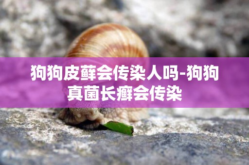 狗狗皮蘚會傳染人嗎-狗狗真菌長癬會傳染