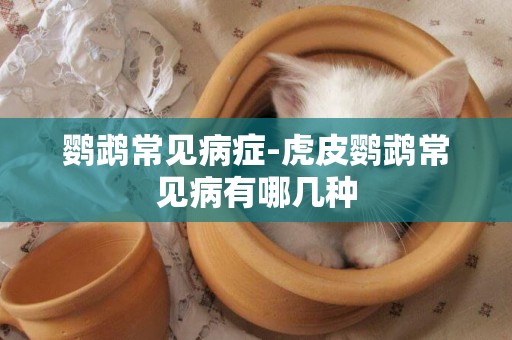 鸚鵡常見病癥-虎皮鸚鵡常見病有哪幾種