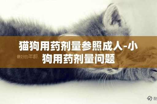 貓狗用藥劑量參照成人-小狗用藥劑量問題