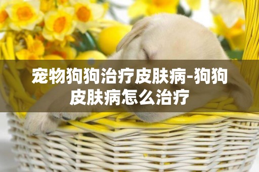 寵物狗狗治療皮膚病-狗狗皮膚病怎么治療