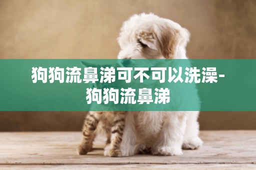 狗狗流鼻涕可不可以洗澡-狗狗流鼻涕