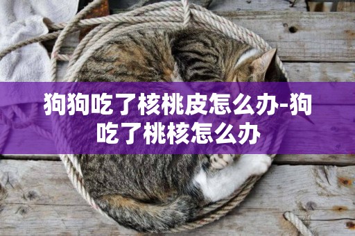 狗狗吃了核桃皮怎么辦-狗吃了桃核怎么辦