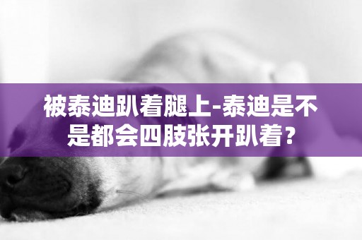 被泰迪趴著腿上-泰迪是不是都會四肢張開趴著？