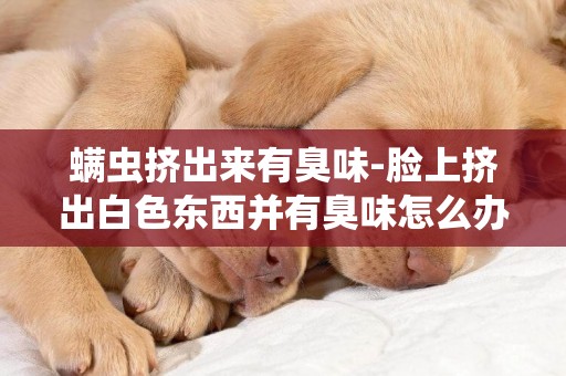 螨蟲擠出來有臭味-臉上擠出白色東西并有臭味怎么辦