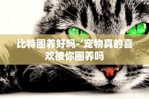 比特圈養好嗎-‘寵物真的喜歡被你圈養嗎