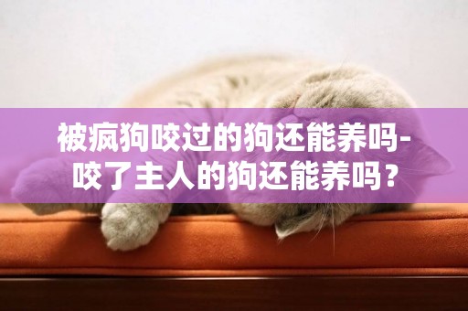 被瘋狗咬過的狗還能養嗎-咬了主人的狗還能養嗎？
