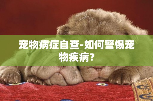 寵物病癥自查-如何警惕寵物疾病？