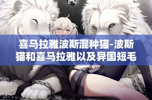 喜馬拉雅波斯混種貓-波斯貓和喜馬拉雅以及異國短毛貓的區別