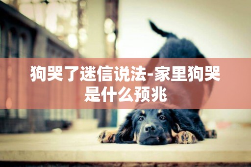 狗哭了迷信說法-家里狗哭是什么預兆