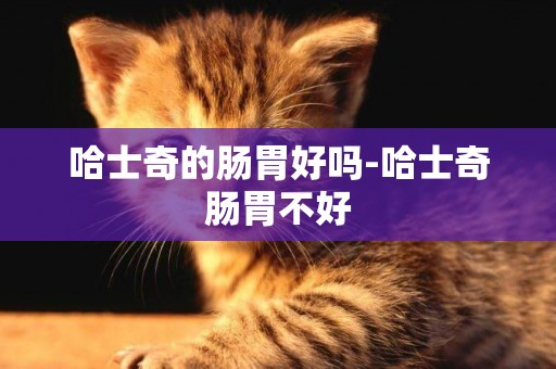 哈士奇的腸胃好嗎-哈士奇腸胃不好