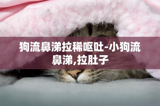 狗流鼻涕拉稀嘔吐-小狗流鼻涕,拉肚子