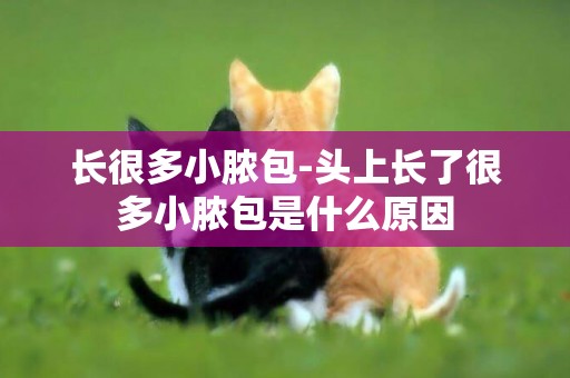 長很多小膿包-頭上長了很多小膿包是什么原因