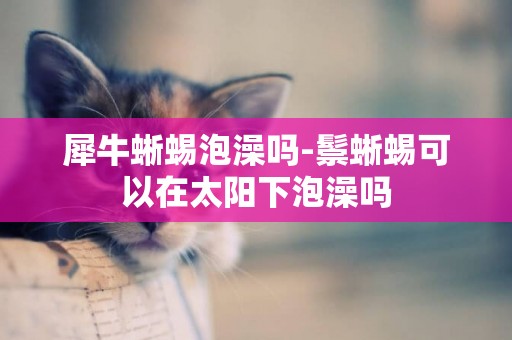犀牛蜥蜴泡澡嗎-鬃蜥蜴可以在太陽下泡澡嗎