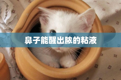 鼻子能醒出膿的粘液