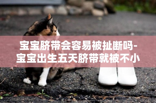寶寶臍帶會容易被扯斷嗎-寶寶出生五天臍帶就被不小心扯掉了