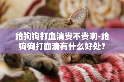 給狗狗打血清貴不貴啊-給狗狗打血清有什么好處？