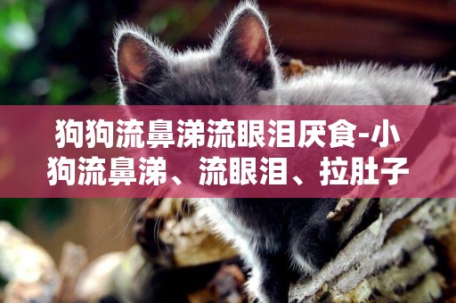 狗狗流鼻涕流眼淚厭食-小狗流鼻涕、流眼淚、拉肚子、愛睡覺。