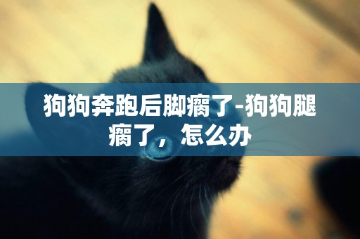 狗狗奔跑后腳瘸了-狗狗腿瘸了，怎么辦