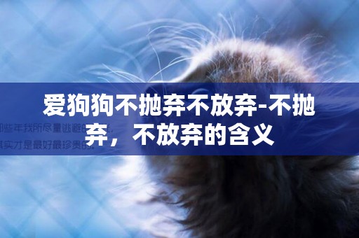 愛狗狗不拋棄不放棄-不拋棄，不放棄的含義