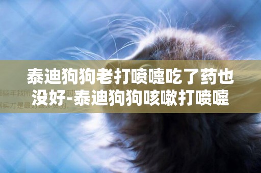 泰迪狗狗老打噴嚏吃了藥也沒好-泰迪狗狗咳嗽打噴嚏喂什么藥