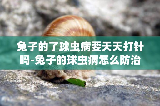 兔子的了球蟲病要天天打針嗎-兔子的球蟲病怎么防治！