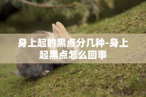 身上起的黑點分幾種-身上起黑點怎么回事