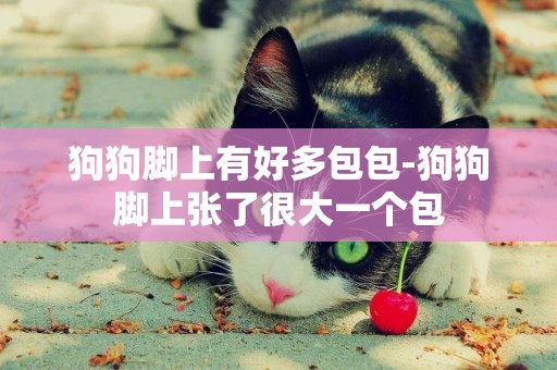 狗狗腳上有好多包包-狗狗腳上張了很大一個包