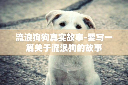 流浪狗狗真實故事-要寫一篇關于流浪狗的故事