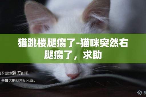 貓跳樓腿瘸了-貓咪突然右腿瘸了，求助