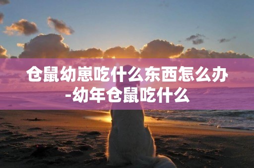 倉鼠幼崽吃什么東西怎么辦-幼年倉鼠吃什么
