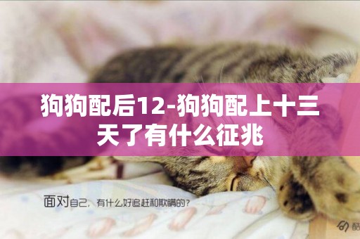 狗狗配后12-狗狗配上十三天了有什么征兆