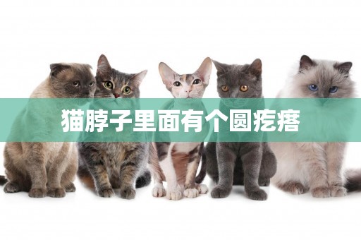 貓脖子里面有個圓疙瘩