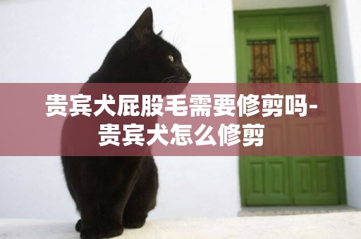 貴賓犬屁股毛需要修剪嗎-貴賓犬怎么修剪