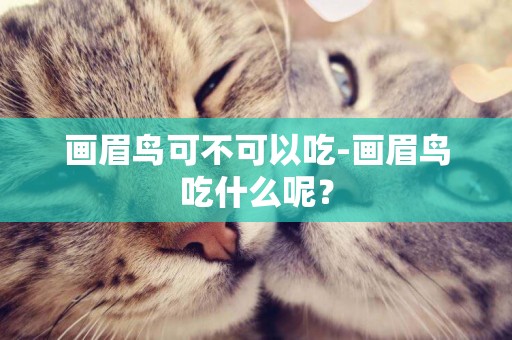 畫眉鳥可不可以吃-畫眉鳥吃什么呢？