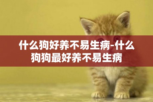 什么狗好養不易生病-什么狗狗最好養不易生病