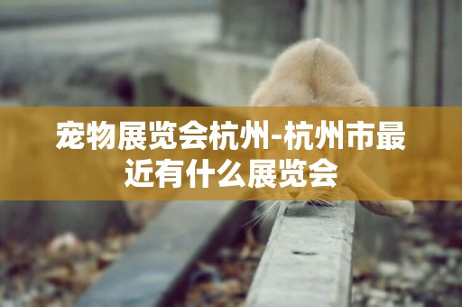 寵物展覽會杭州-杭州市最近有什么展覽會