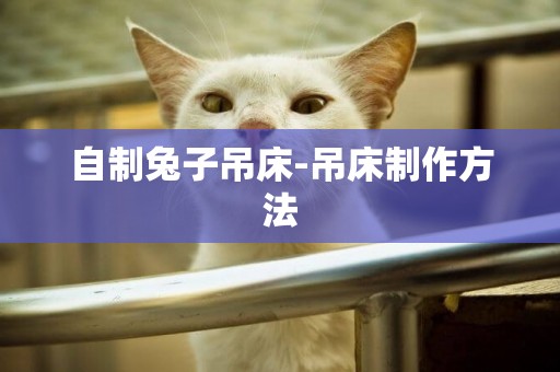 自制兔子吊床-吊床制作方法