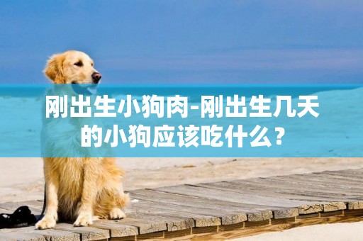 剛出生小狗肉-剛出生幾天的小狗應該吃什么？