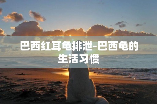 巴西紅耳龜排泄-巴西龜的生活習慣