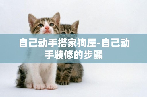 自己動手搭家狗屋-自己動手裝修的步驟
