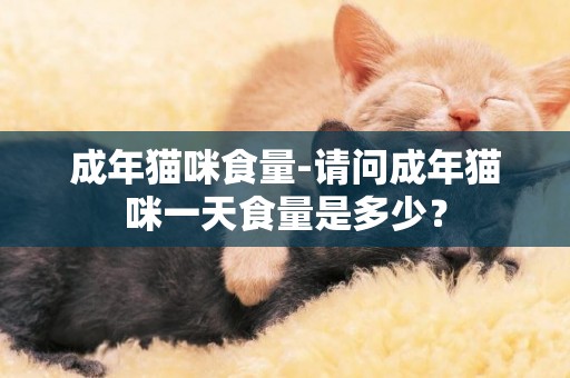 成年貓咪食量-請問成年貓咪一天食量是多少？