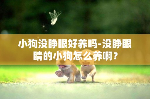小狗沒睜眼好養嗎-沒睜眼睛的小狗怎么養啊？