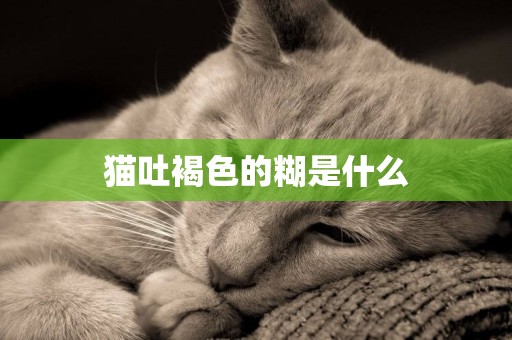 貓吐褐色的糊是什么