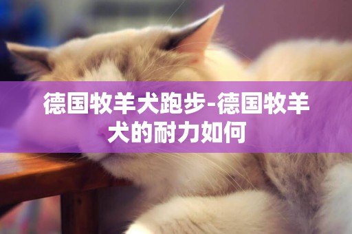 德國牧羊犬跑步-德國牧羊犬的耐力如何
