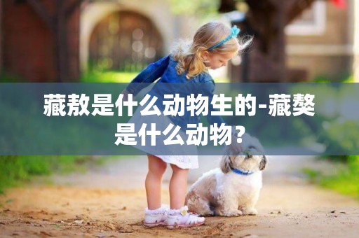藏敖是什么動物生的-藏獒是什么動物？