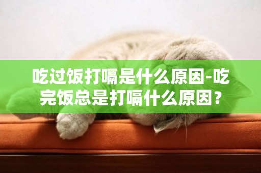 吃過飯打嗝是什么原因-吃完飯總是打嗝什么原因？