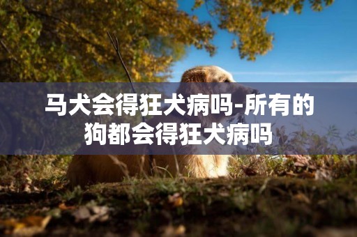 馬犬會得狂犬病嗎-所有的狗都會得狂犬病嗎