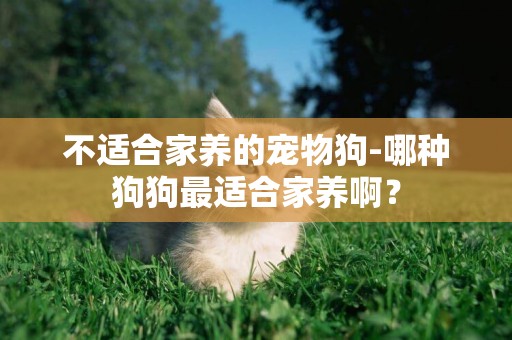 不適合家養的寵物狗-哪種狗狗最適合家養啊？